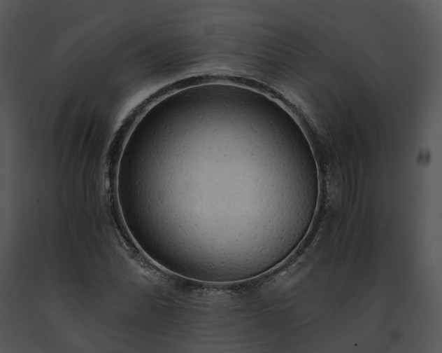 X0000091681070200708301515