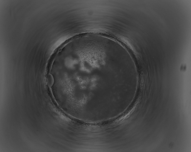 X0000091681071200708301515