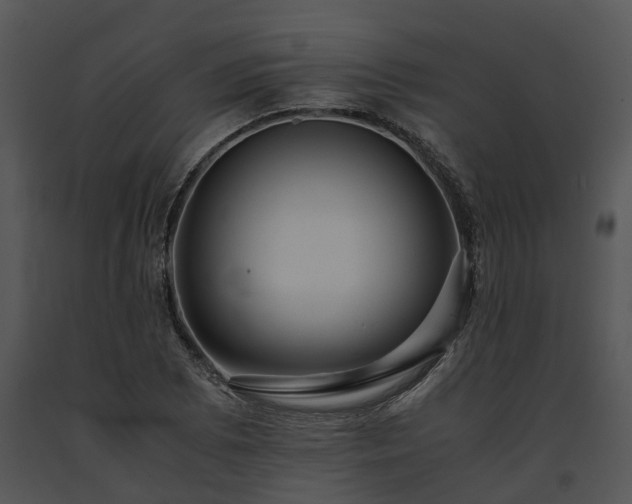 X0000091681073200708301515