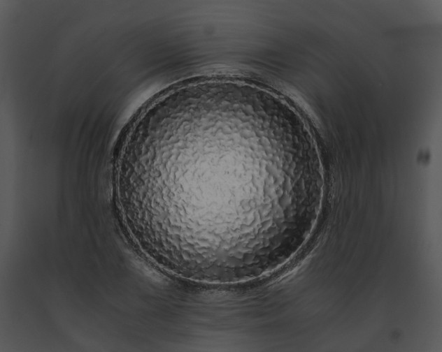 X0000091681075200708301515
