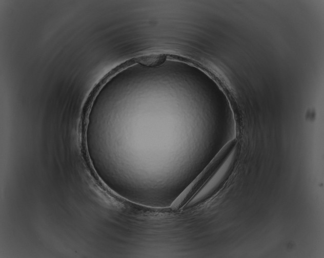 X0000091681076200708301515