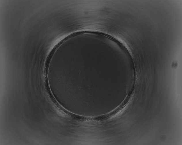X0000091681077200708301515