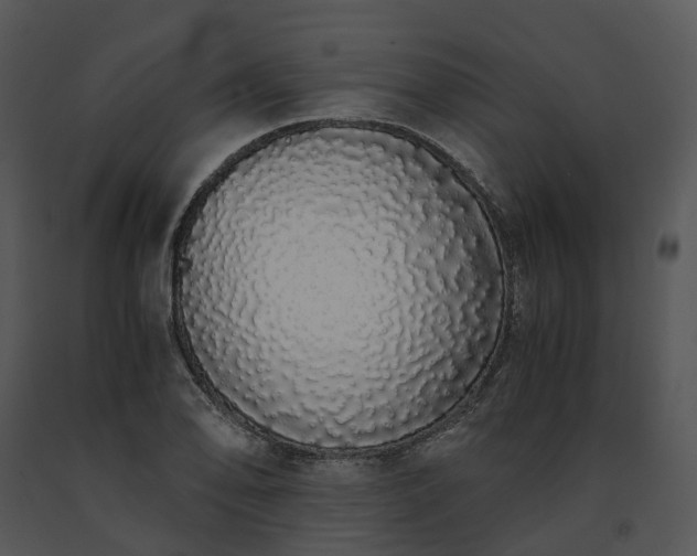 X0000091681078200708301515