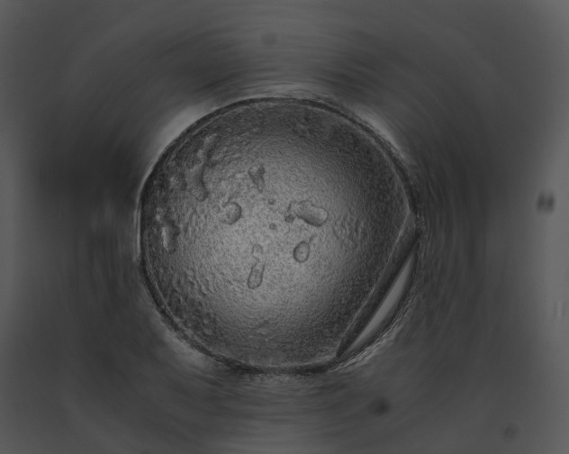 X0000091681079200708301515