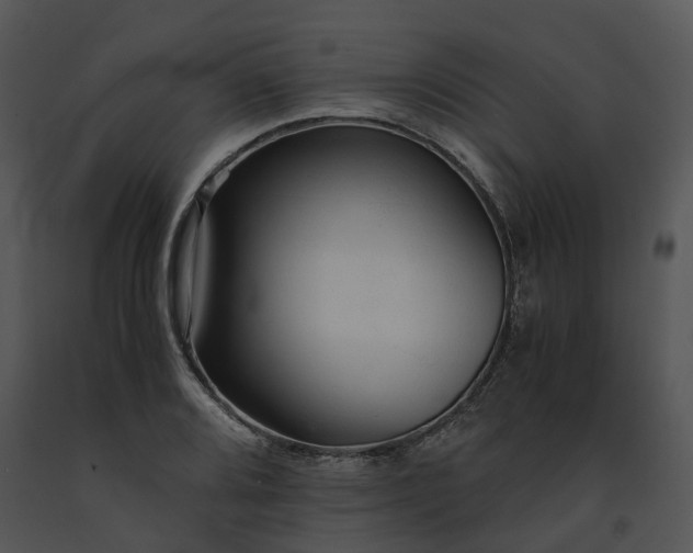X0000091681080200708301515