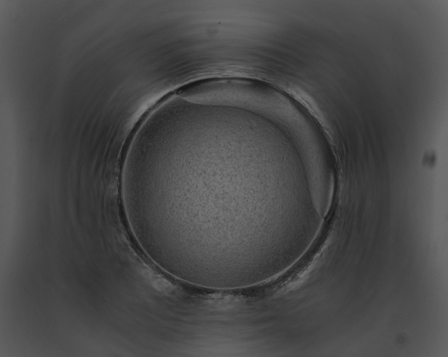 X0000091681081200708301515