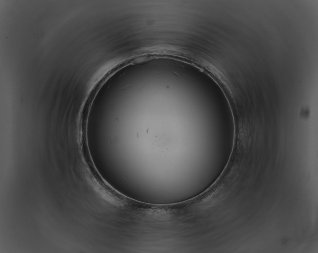 X0000091681082200708301515