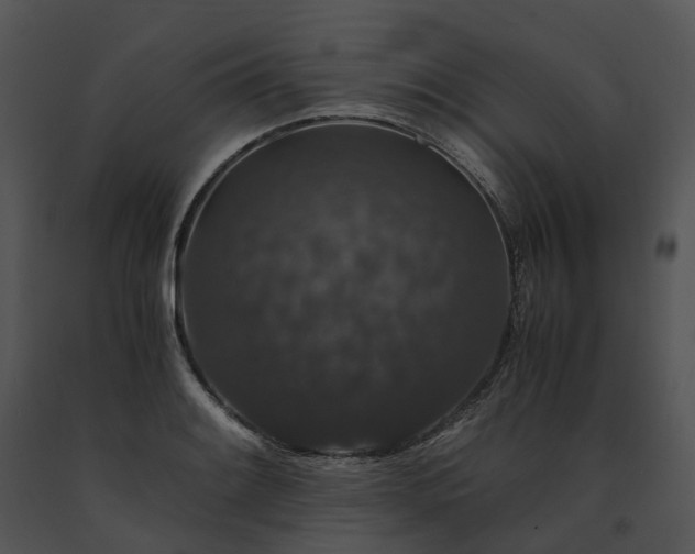 X0000091681084200708301515