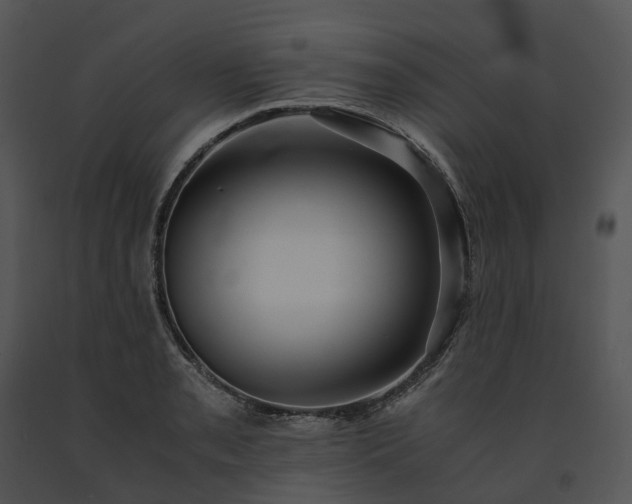 X0000091681085200708301515