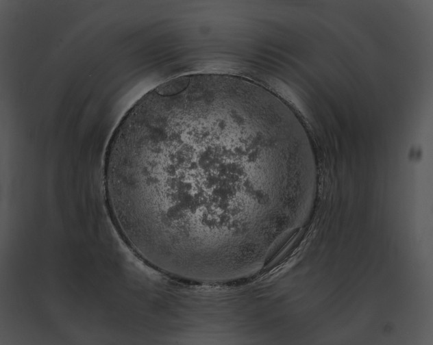X0000091681087200708301515