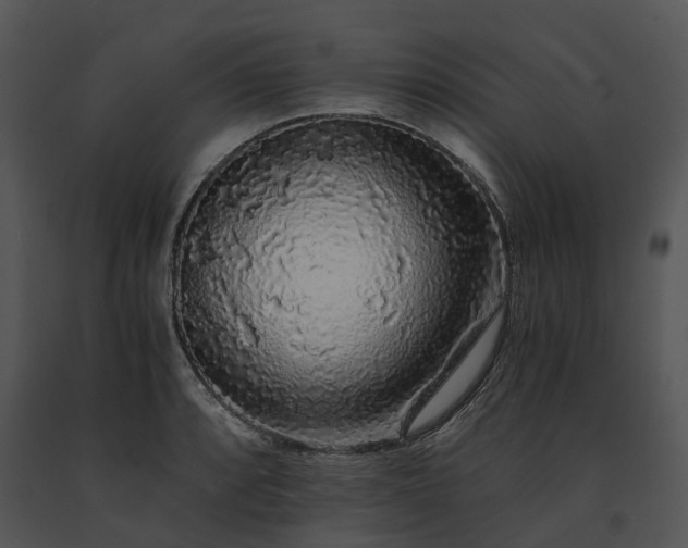 X0000091681088200708301515
