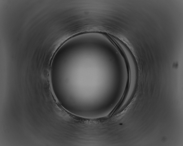 X0000091681089200708301515