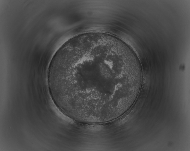 X0000091681090200708301515