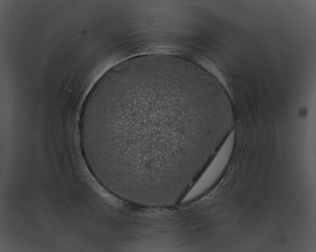 X0000091681091200708301515