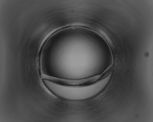 X0000091681092200708301515