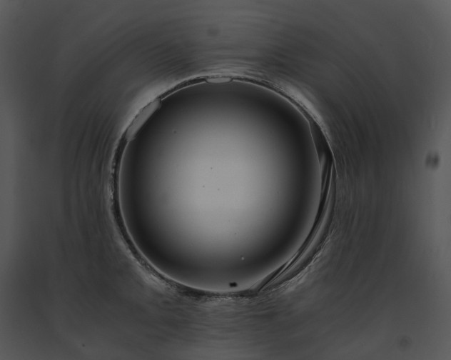 X0000091681093200708301515