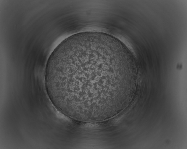 X0000091681094200708301515