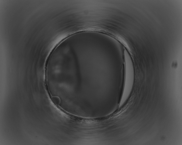 X0000091681095200708301515