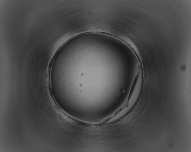 X0000091681096200708301515