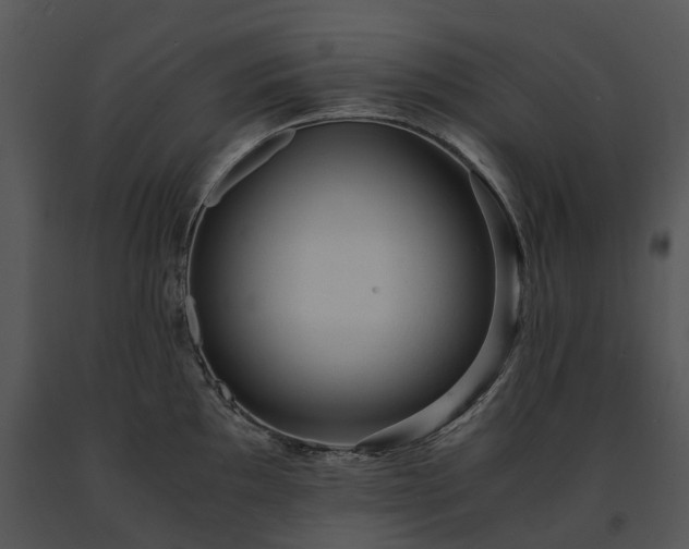 X0000091681097200708301515
