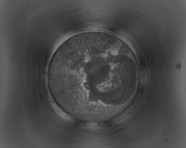 X0000091681098200708301515