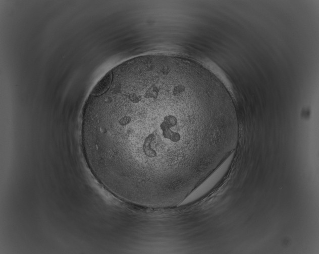X0000091681099200708301515