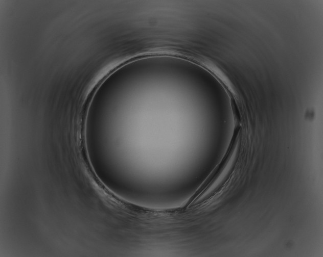 X0000091681101200708301515