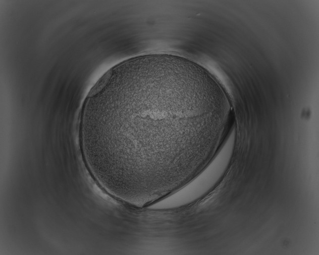 X0000091681102200708301515