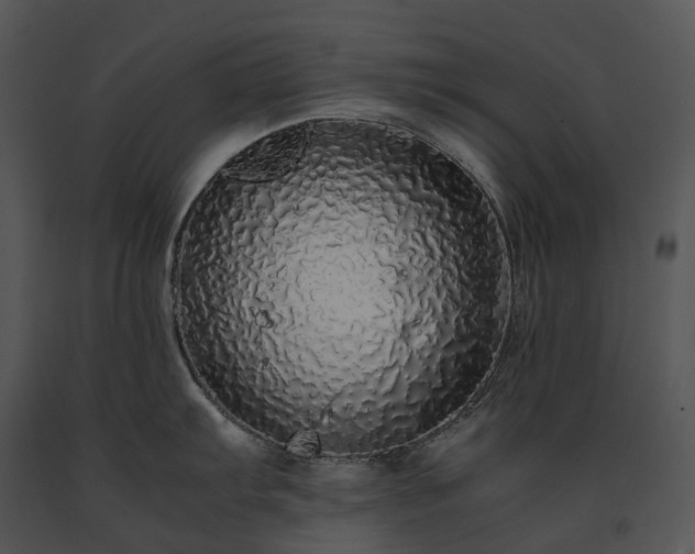 X0000091681103200708301515