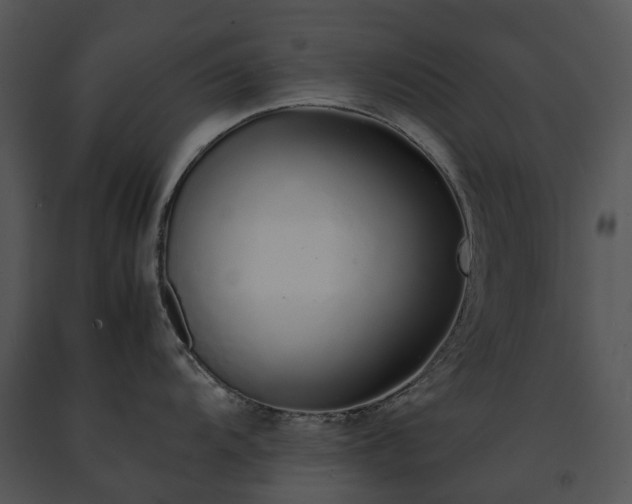 X0000091681104200708301515