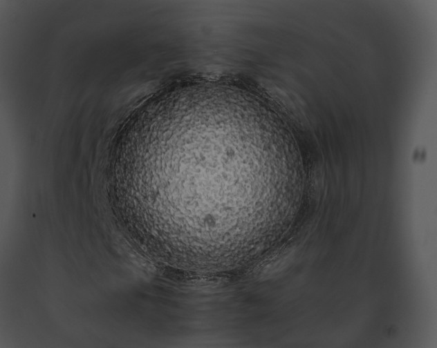 X0000091681105200708301514