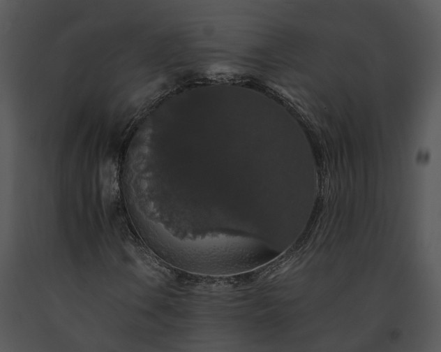 X0000091681106200708301514