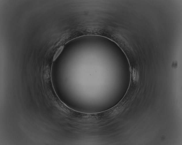 X0000091681107200708301514