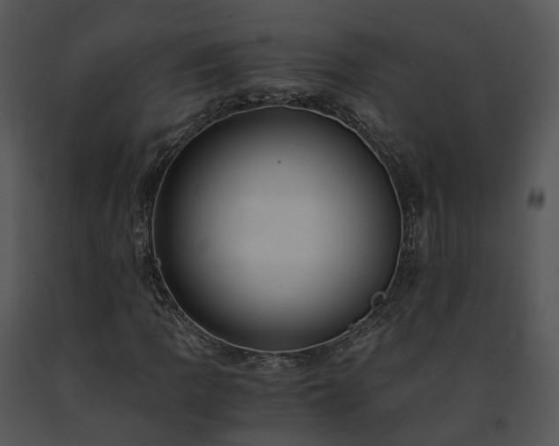 X0000091681109200708301514
