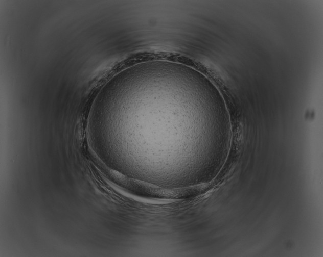 X0000091681110200708301514