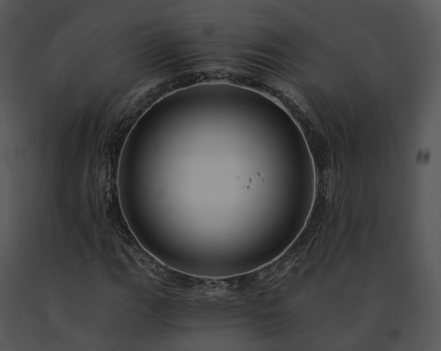 X0000091681111200708301514
