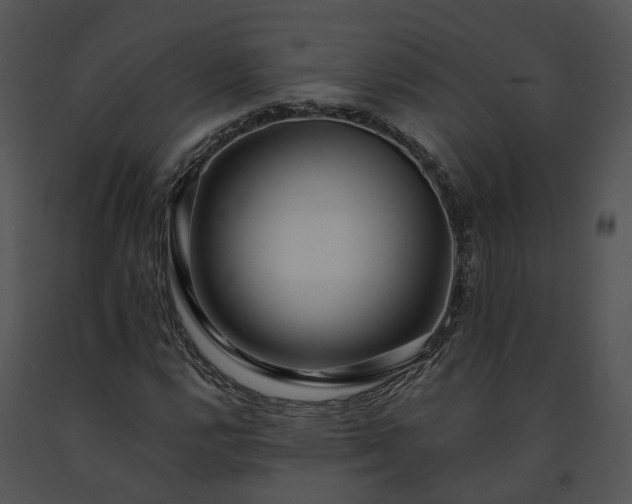 X0000091681112200708301514
