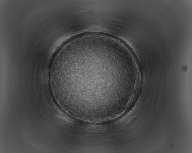 X0000091681115200708301514