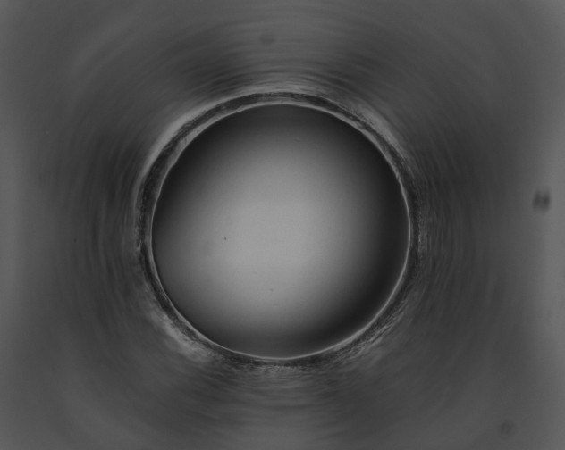 X0000091681116200708301514