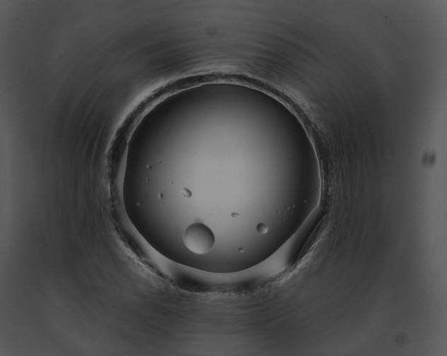 X0000091681118200708301514
