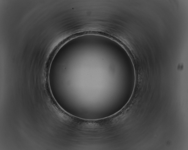 X0000091681119200708301514
