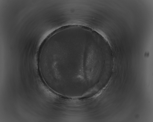 X0000091681120200708301514