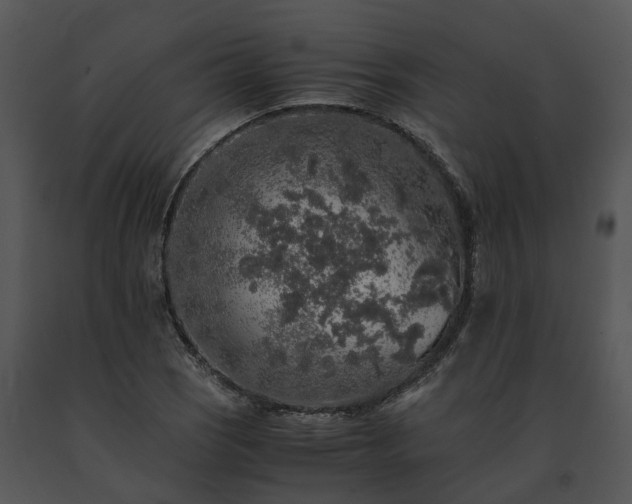 X0000091681121200708301514