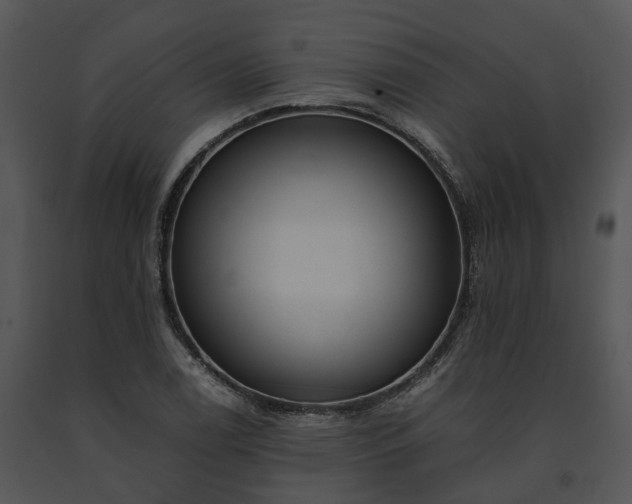 X0000091681122200708301514