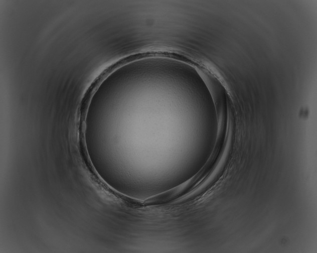 X0000091681124200708301514