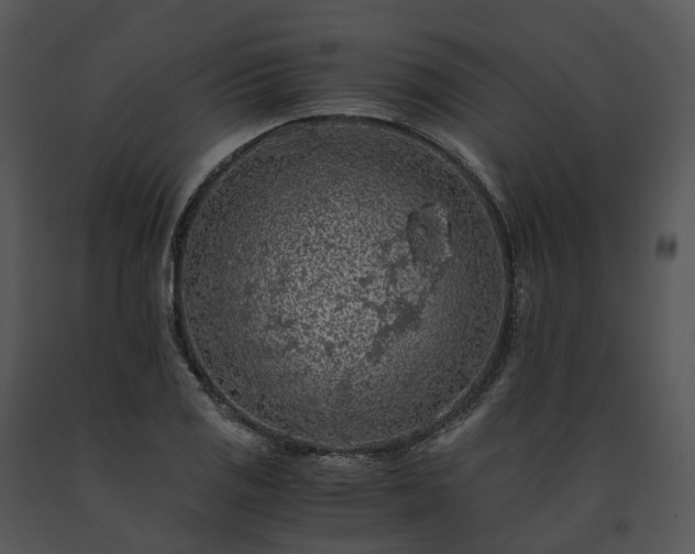 X0000091681125200708301514