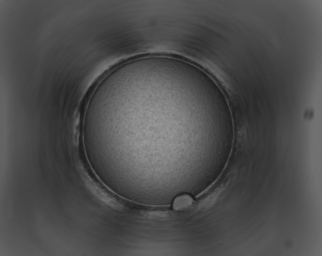 X0000091681126200708301514