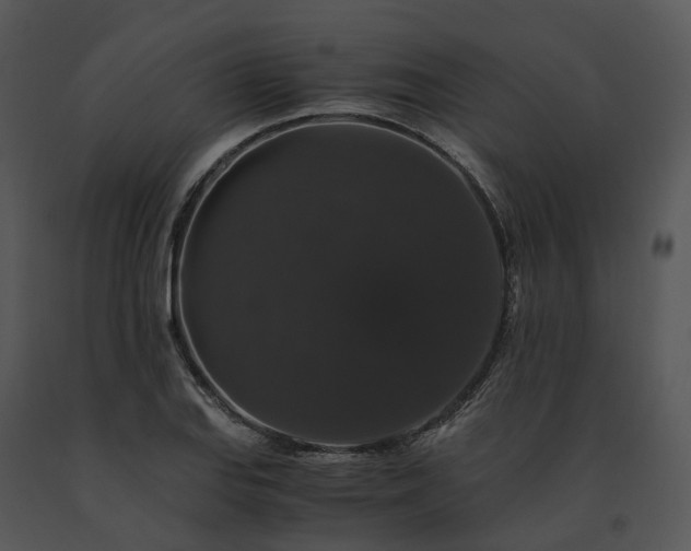 X0000091681127200708301514