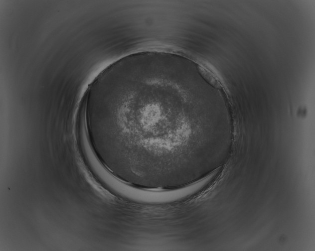 X0000091681128200708301514
