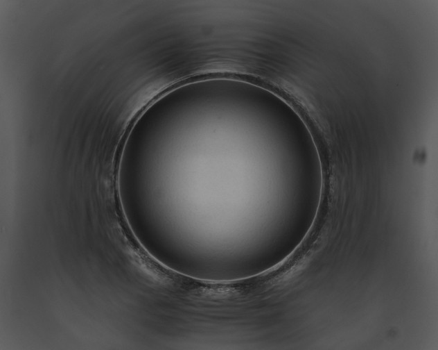X0000091681129200708301514